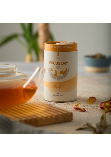 Focus Day Konsantrasyon Çayı modelleri