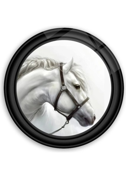 Teknoo- Beyaz At Yuvarlak Cam Tablo fiyatları