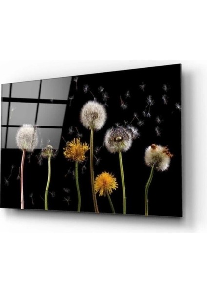 Teknoo- Karahindibalar Cam Tablo 50X70 cm