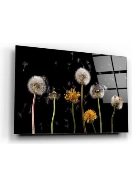 Teknoo- Karahindibalar Cam Tablo 50X70 cm fiyatları