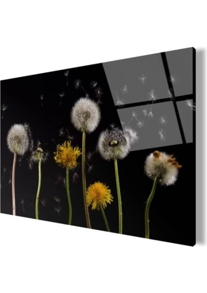 Teknoo- Karahindibalar Cam Tablo 50X70 cm modelleri