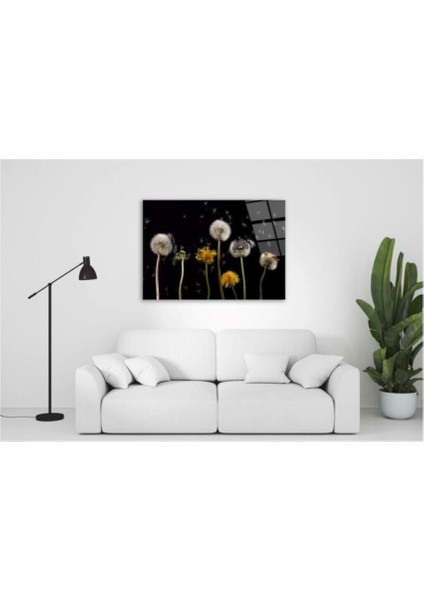 Teknoo- Karahindibalar Cam Tablo 50X70 cm fırsatları