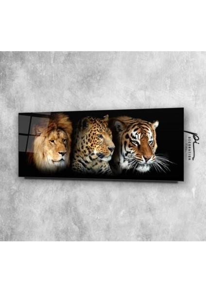Teknoo- Aslan, Leopar ve Kaplan Panoramik Cam Tablo fiyatları