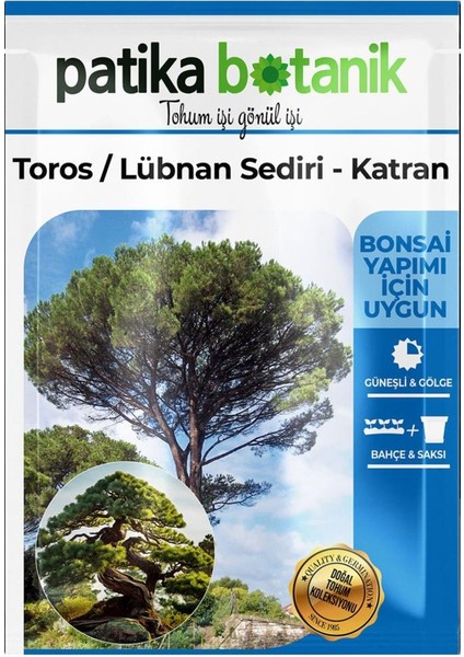 Toros Sediri Ağaç Tohumu fiyatları