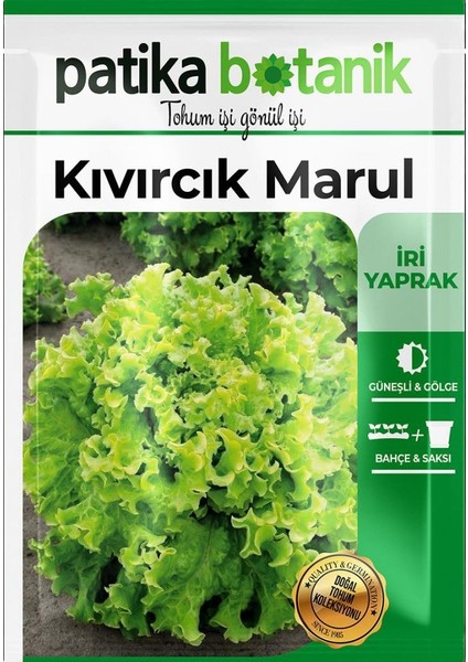 2000 Adet Kıvırcık Marul Tohumu