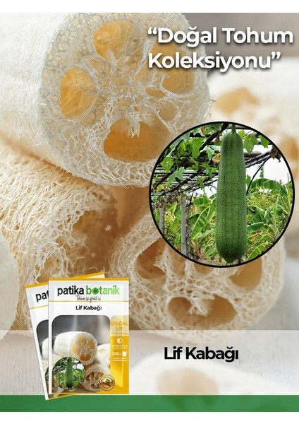 5 Adet Yerli Ata Lif Kabağı Tohumu Kabak Tohumu