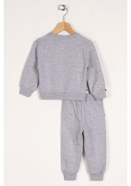 Bisiklet Yaka Uzun Kol Anımal Person Baskılı Gri Renk Erkek Çocuk Esofman Takım fiyatları