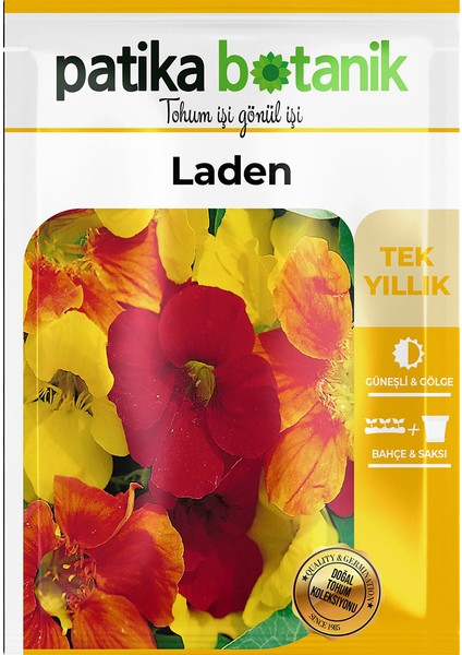 6 Adet Laden (Tropaeolum Majus) Çiçek Tohumu