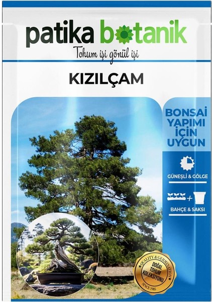 Kızılçam Ağaç Tohumu fiyatları