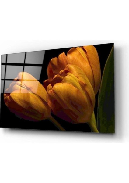 Teknoo- Çiçekler Cam Tablo