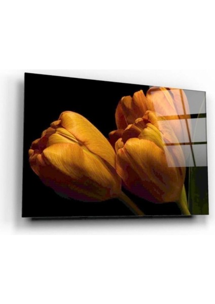 Teknoo- Çiçekler Cam Tablo fiyatları