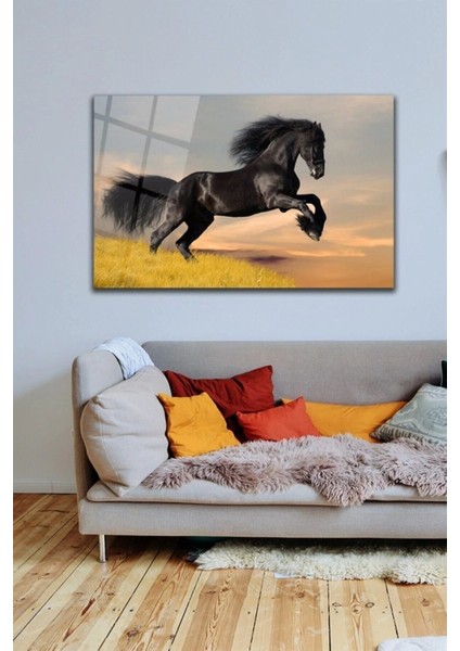 Teknoo- Siyah At Cam Tablo