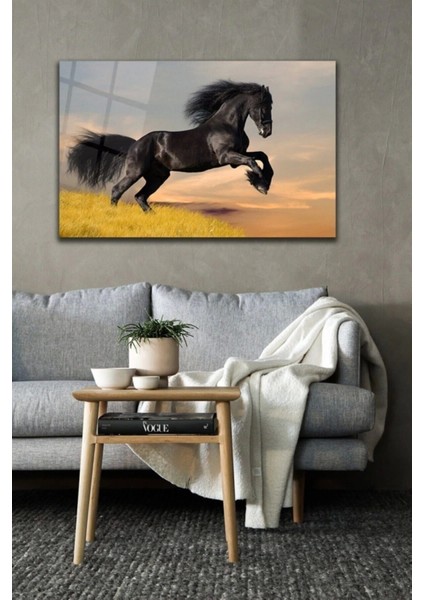 Teknoo- Siyah At Cam Tablo fiyatları