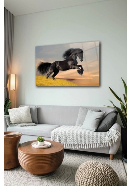 Teknoo- Siyah At Cam Tablo modelleri