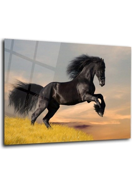 Teknoo- Siyah At Cam Tablo fırsatları