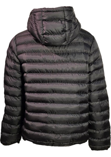 3429802 Erkek Kapşonlu Mont Black