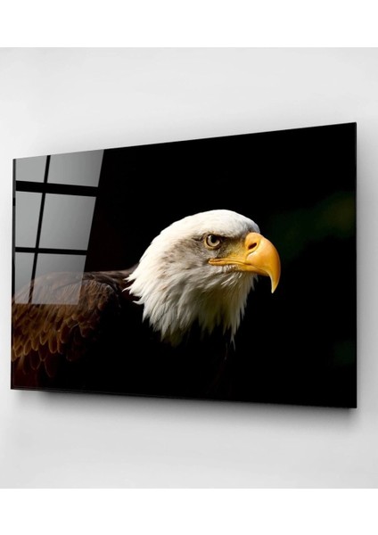 Teknoo- Yanardağ Cam Beyaz Başlı Kartal Cam Tablo fiyatları