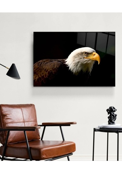 Teknoo- Yanardağ Cam Beyaz Başlı Kartal Cam Tablo modelleri