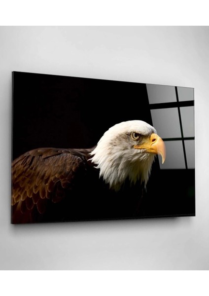 Teknoo- Yanardağ Cam Beyaz Başlı Kartal Cam Tablo fırsatları
