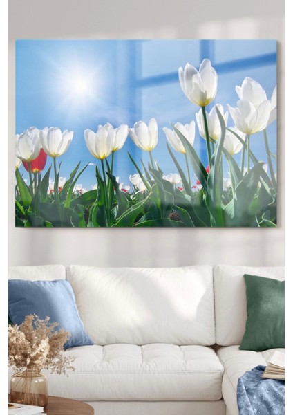 Teknoo- Beyaz Lale | Çiçek Temalı Cam Tablo | 50X70 cm fiyatları
