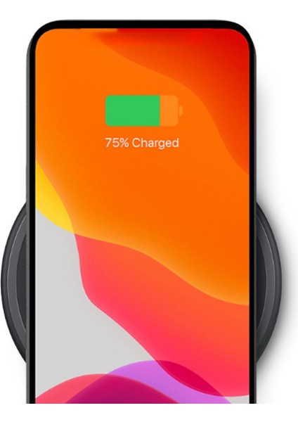 Apple iPhone 16 Pro Telefon Kılıfı (Yurt Dışından)
