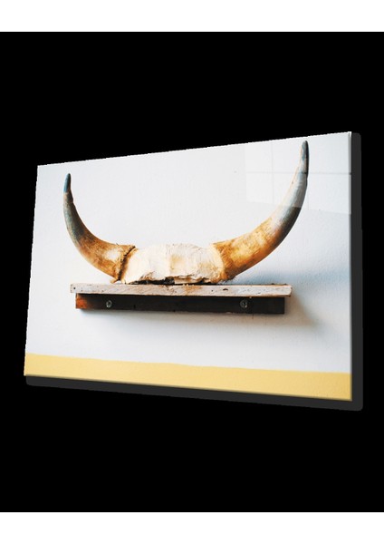 Teknoo- Boynuz Cam Tablo