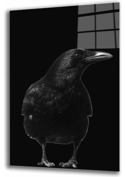 Teknoo- Karga-Kuş Hayvan Cam Tablo