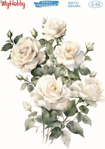 Myhobby Koyu Zemin Sulu Transfer KZ-009 25X35C