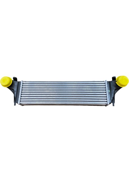 Turbo Radyatörü (Intercooler) / Bmw E53 (2000-2007) / 17512247966