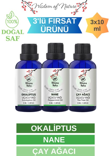 3'lü Set (Okaliptus - Nane - Çay Ağacı) Uçucu Yağı Saf ve Doğal (3x10 ml)