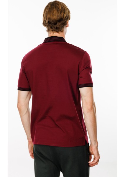 Erkek Polo Yaka Kolu ve Yakası Çizgili T-Shirt Bordo indirimleri