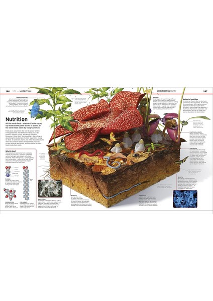 Knowledge Encyclopedia Science