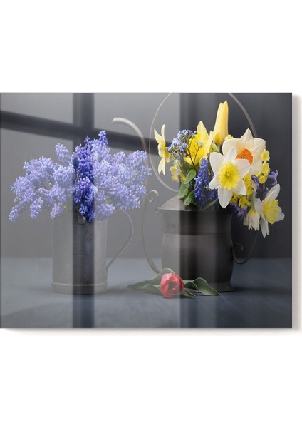 50x60cm Mutfak Cam Ocak Arkası Koruyucu, Siyah, Düz Desen fiyatları