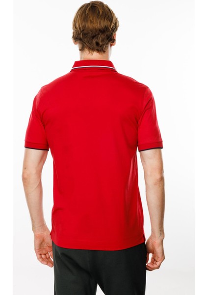 Erkek Polo Yaka Yakası Çizgili T-Shirt Kırmızı