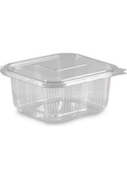 Sızdırmaz Kap 500 gr 100 Adet