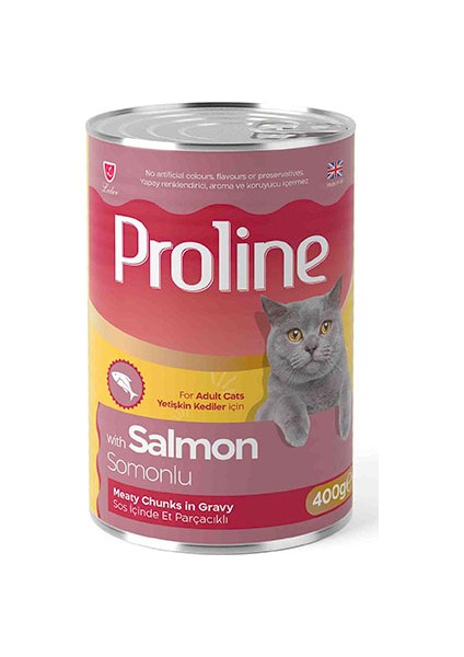 Somon Etli Sos Içinde Gravy Yetişkin Kedi Konservesi 24 Adet 400 gr