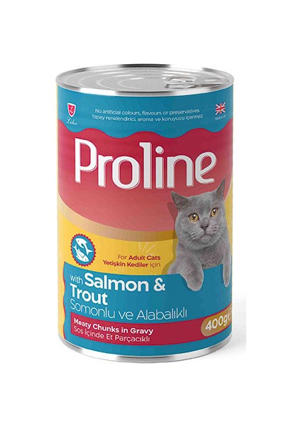 Somonlu ve Alabalıklı Sos Içinde Gravy Yetişkin Kedi Konservesi 24 Adet 400 gr