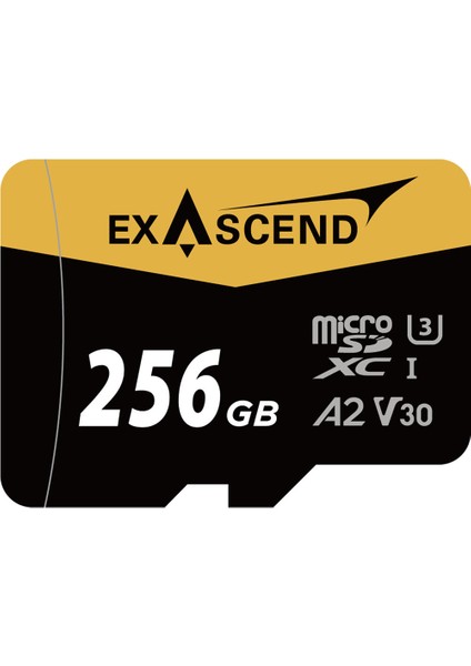 256GB Catalyst Uhs-I Microsdxc Hafıza Kartı