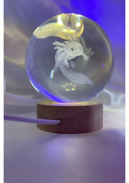 3D LED Işık Cam Küre Tek Renk Gece Lambası Axolotl Mucizevi Yenilenme 8 cm Mega Boy