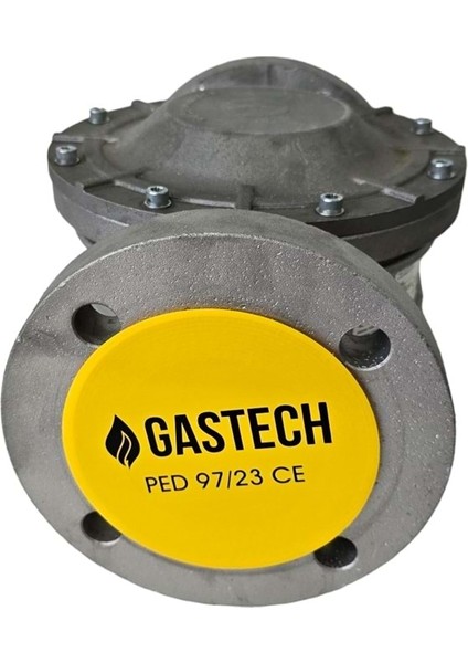Gaz Filtresi GF65F DN65 ISO7005/2PN-16
