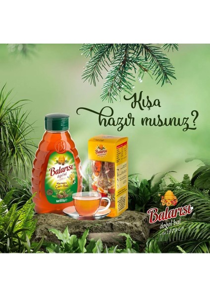 Doğal Marmaris Çam Balı 650 gr modelleri