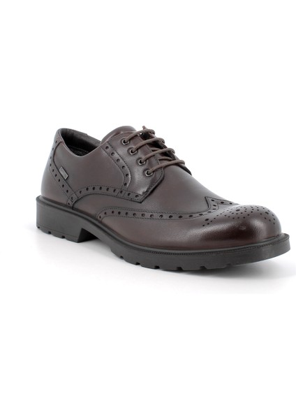 Erkek Oxford ( Klasik) 6604311 Igı&co Uctgt 66043 Vitello Alfa T.moro (Dark Brown)