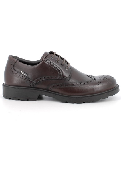 Erkek Oxford ( Klasik) 6604311 Igı&co Uctgt 66043 Vitello Alfa T.moro (Dark Brown)