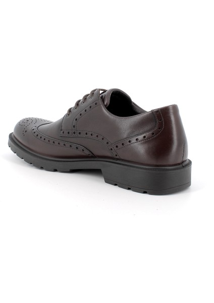 Erkek Oxford ( Klasik) 6604311 Igı&co Uctgt 66043 Vitello Alfa T.moro (Dark Brown)