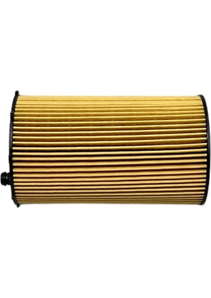 Citroen C5 Iıı, Peugeot 407, 607 (2.7 Hdi 150 Kw) 2004-2010 Yağ Filtresi fırsatları