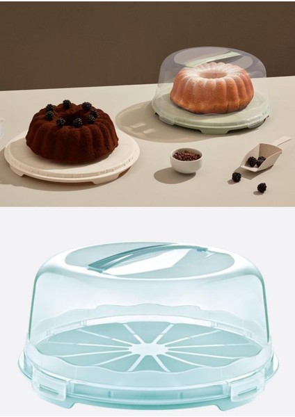 Kek Pasta Börek Saklama Kabı, Kilitli Borcam Taşıma Fanusu 34CM Büyük Boy indirimleri