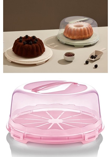 Kek Pasta Börek Saklama Kabı, Kilitli Borcam Taşıma Fanusu 34CM Büyük Boy