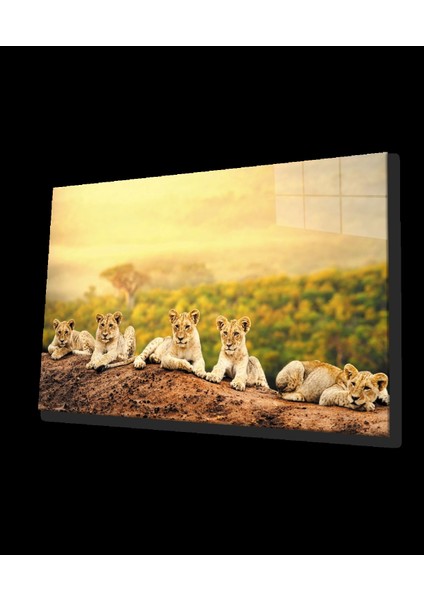 Teknoo- Aslan Cam Tablo