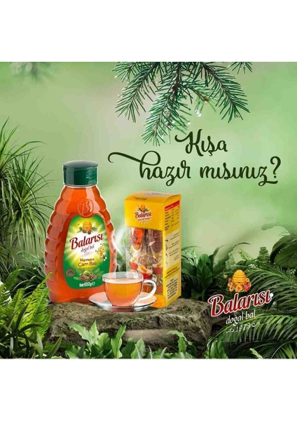 Doğal Marmaris Çam Balı 650 gr 4(Adet)
