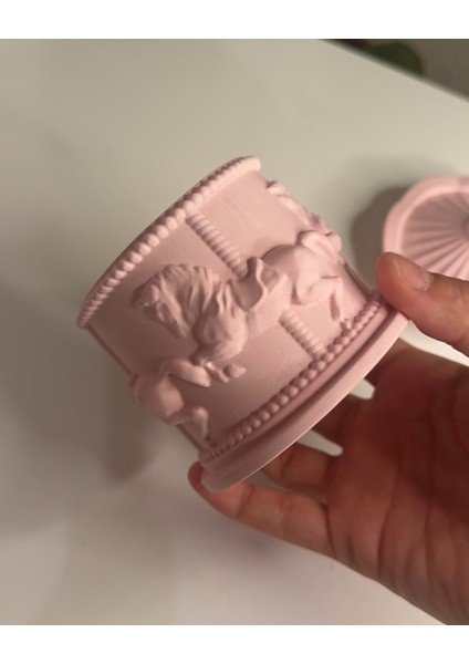 Atlı Karınca Dekoratif Kutu Pınk Carousel modelleri